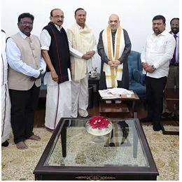 Dmk alliance mps meet shah  seek early release of relief funds