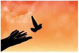 Liberation meaning