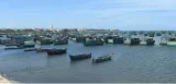 Stalin seeks release of 6 t n  fishermen from custody of sri lanka