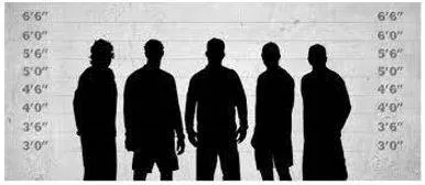 Suspects meaning