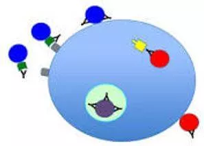 Neutralized - Make (something) ineffective by applying an opposite force or effect.