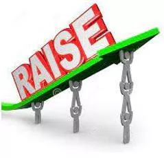 Raised meaning