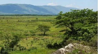 Why the us govt warns americans to reconsider travelling to jamaica