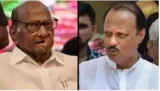 Ajit pawar gets ncp symbol  election commission rules against sharad pawar