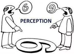 Perception meaning
