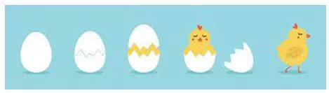 Hatched - Open and produce a young animal.