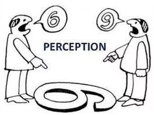 Perception meaning