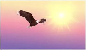Soaring - To fly high in the air.
