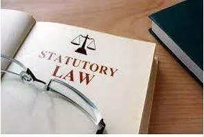 Statutory meaning