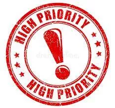 Prioritize - Designate or treat (something) as being very or most important.