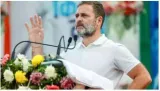 Rahul gandhi says india’s unemployment rate is double that of pakistan