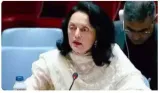 Israel hamas war  only two state solution will deliver enduring peace  india says at unga