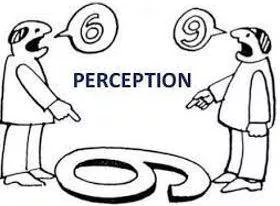 Perception - The ability to see, hear, or become aware of something through the senses.