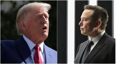 Trump reveals if elon musk would support his re election bid  admits he views facebook as 'an enemy of the people'