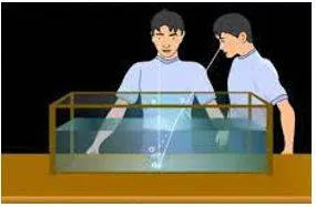 Apparent - Clearly visible or understood.