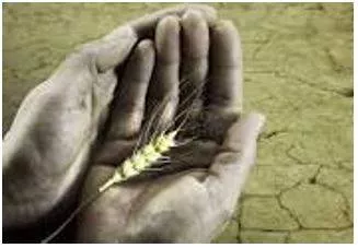 Starvation - Suffering or death caused by lack of food.