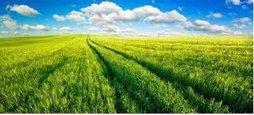 Vast - Of very great extent or quantity.