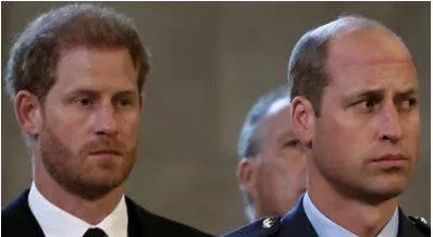 Princess diana would be ‘devastated’ by ongoing situation between harry and william  ex butler says