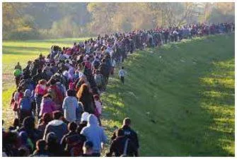 Migration - Movement from one part of something to another.