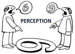 Perception - The ability to see, hear, or become aware of something through the senses.