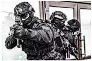 Raided - A rapid surprise attack on an enemy by troops, aircraft, or other armed forces.