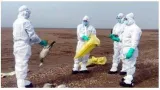 Avian flu threat grows  second human case confirmed in u s   first in texas