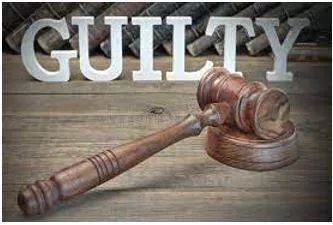 Verdict meaning
