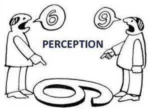 Perception meaning