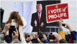 Trump says abortion ban should left for states to decide  'it's all about  '