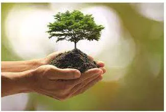 Prosperity - Successful in material terms