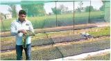 Innovations in traditional methods revolutionising farming in rajasthan’s parched shekhawati