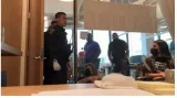 Anti israel google employees arrested after occupying ceo's office with demands against ‘apartheid state’
