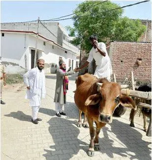 Rampur braces for post azam khan era as bjp  sp battle for his pocket borough