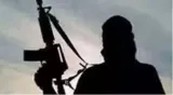 Naxalite killed in encounter with security personnel in chhattisgarh's bijapur