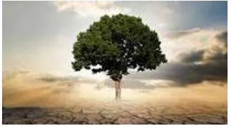 Thriving - Prosperous and growing.