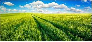 Vast - Of very great extent or quantity.