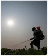 Fertilizer subsidy in fy24 exceeds re by ₹6 500 crore