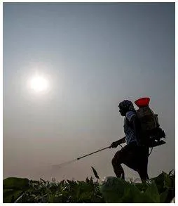 Fertilizer subsidy in fy24 exceeds re by ₹6 500 crore