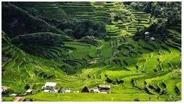 Province meaning