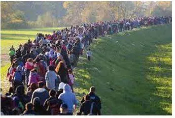 Migration meaning