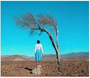 Composition meaning
