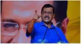 'right to campaign neither fundamental nor constitutional'  ed files fresh affidavit in sc opposing kejriwal's interim bail