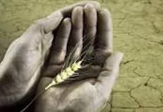 Starve meaning
