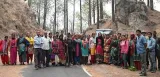 Pine needle power projects to check forest fire inadequate