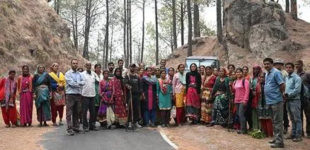 Pine needle power projects to check forest fire inadequate