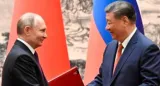 Putin says 'grateful' to china for ukraine peace 'initiatives'