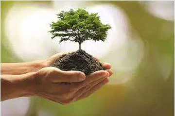 Prosperity - Successful in material terms.