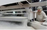 Brazil  eu urge india to give timely notices on sugar subsidies in wto