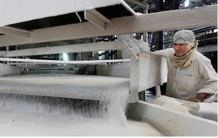 Brazil  eu urge india to give timely notices on sugar subsidies in wto