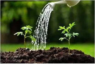 Nurtured meaning